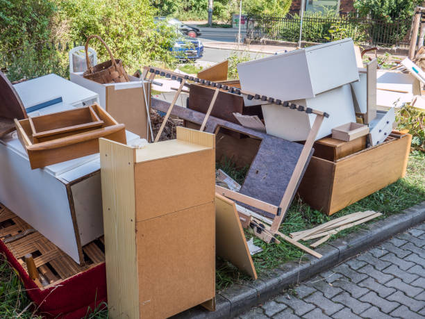 Best Professional Junk Removal  in Asbury, IA